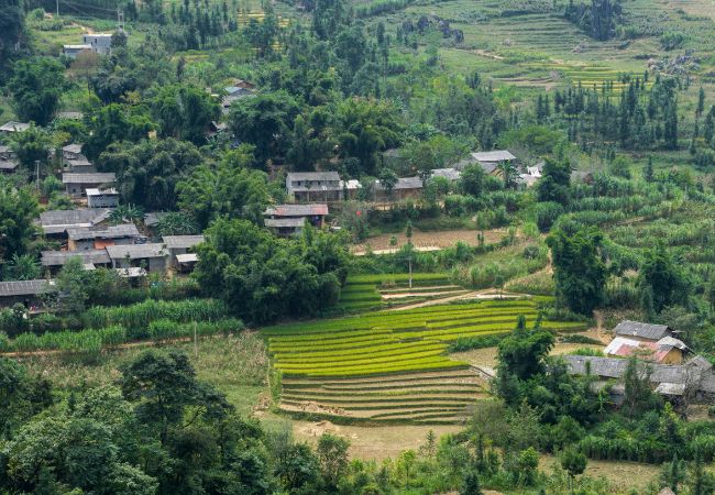 Tây Giang – Điểm Đến Lý Tưởng Cho Tín Đồ Du Lịch Xanh Và Văn Hóa