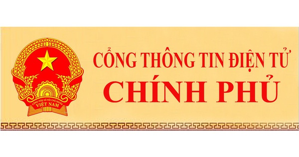 cổng thông tin điện tử chính phủ